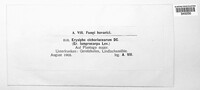 Image Associated With the Occurence